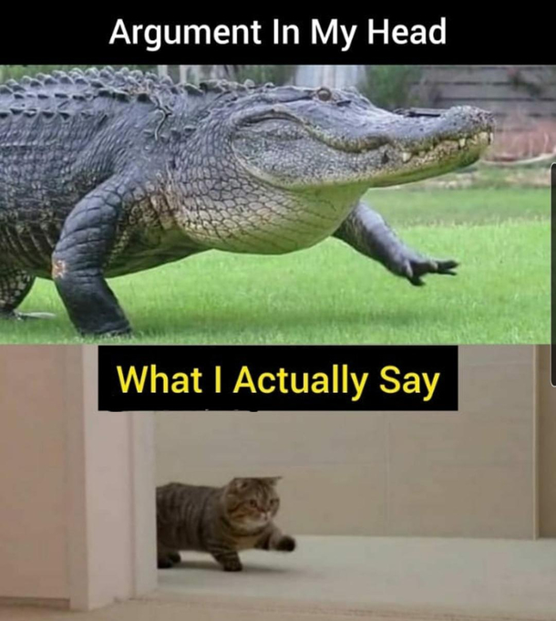 I hate how accurate it is
