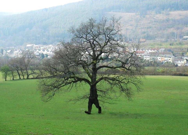 I hate it when ents show up at a picnic