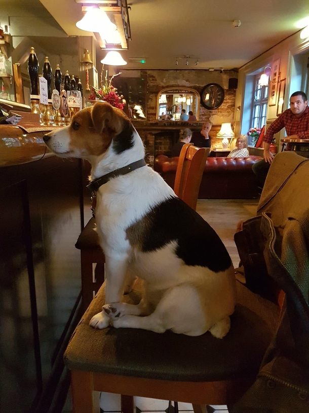 I hate it when the bar staff ignore me