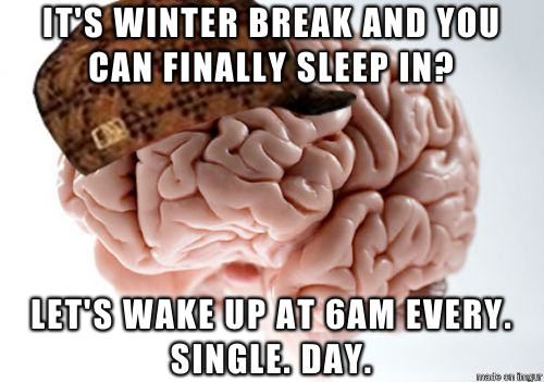 I hate you brain