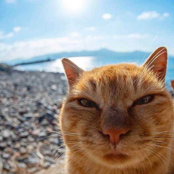 i hates da sun i hates da beach i hates you too