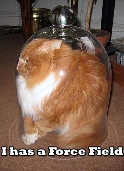 I have a forcefield bump o
