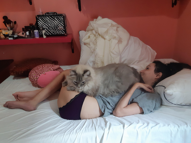 I have a Muscular Dystrophy and this is Clifford This is how Im going to die one day Asphyxiation via cat butt