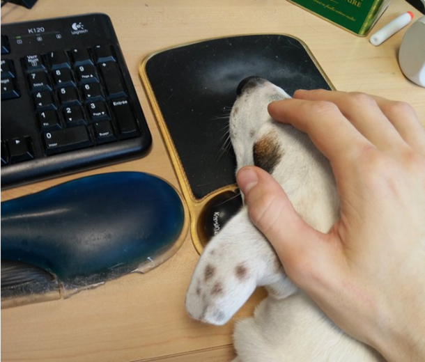 I have a problem with my mouse can anyone help