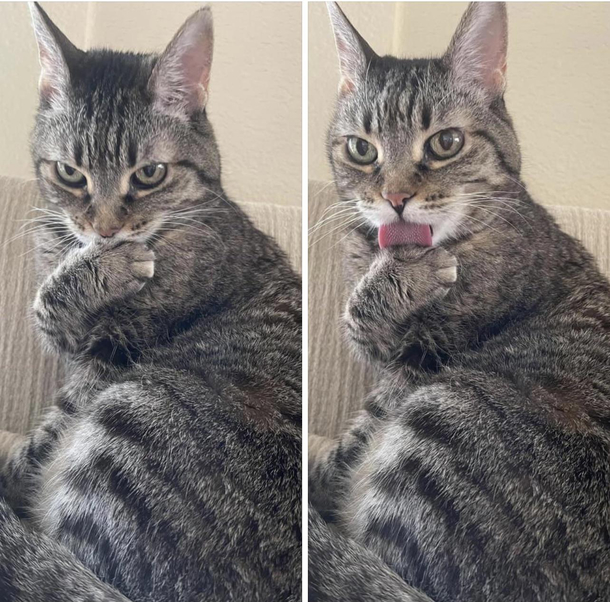 I have a secret Im a derp