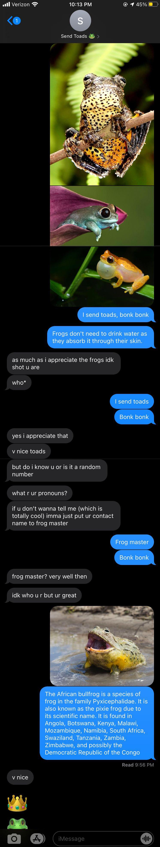 I have become frog master