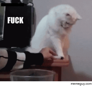 I have been browsing rnew latelyrepost