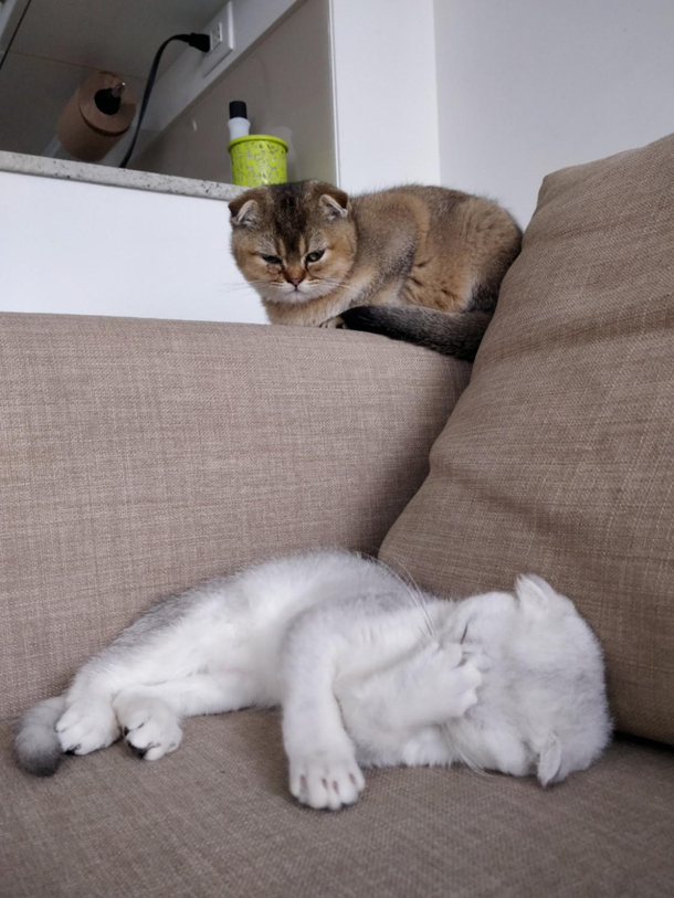 I have no idea what happened