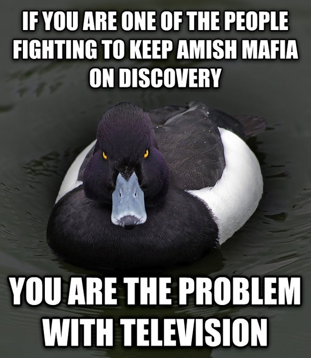 I have seen several posts on facebook about this Amish Mafia shit