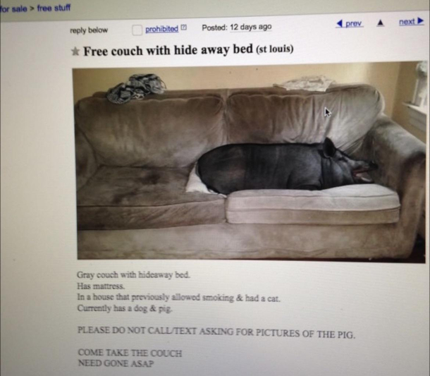 I have so many questions