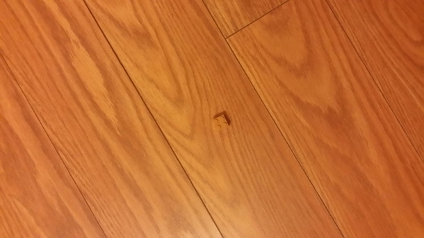 I have stared into the face of evil