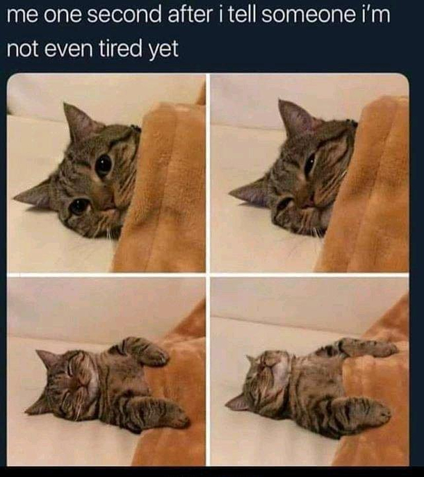 I havent slept at all yet 