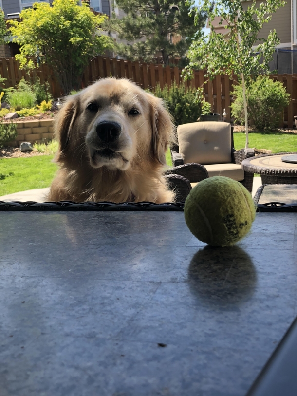 I havent thrown it for  minutes now