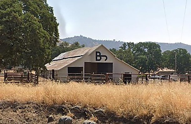 I hear this ranch raises cocks