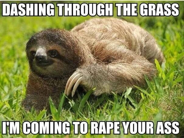I hear you guys like sloths