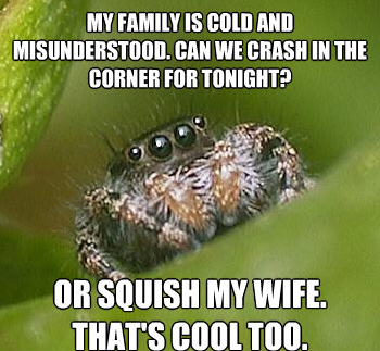 I heard you like the misunderstood spider