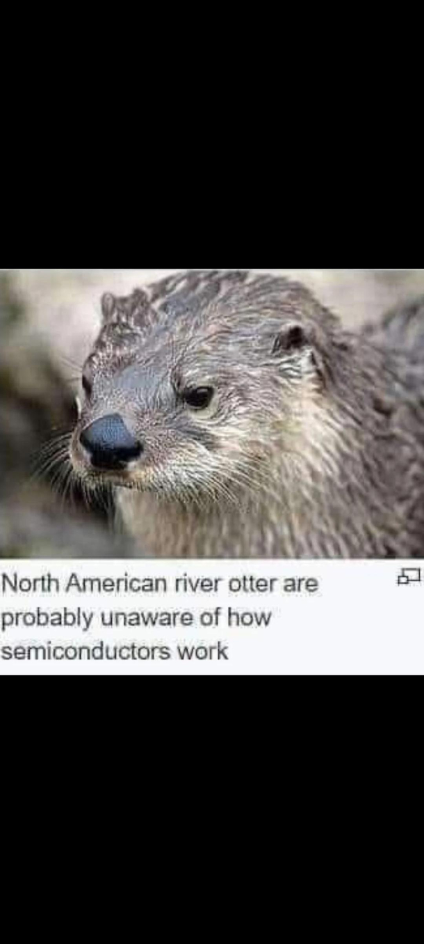 I honestly didnt know that