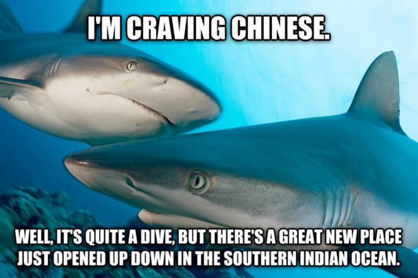 I hope all of China has enjoyed their shark fin soup because paybacks a bitch