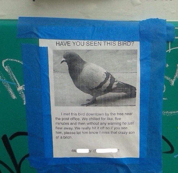 I hope he found him