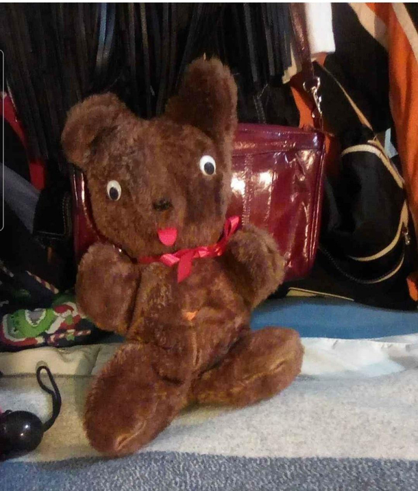 I hope this very derpy teddy bear makes someones day like it did mine