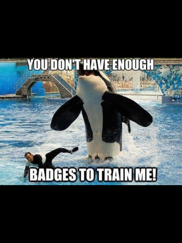 I immediately thought of this after I watched Blackfish