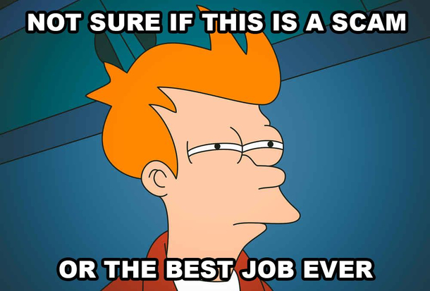 I just applied for a job to make memes for a company that makes fun of cryptocurrency and pays in cryptocurrency