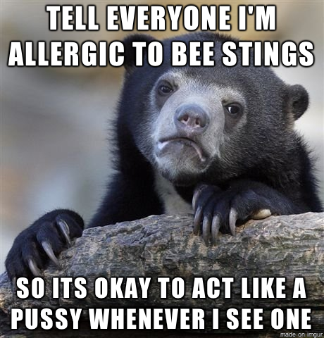 I just dont like bees