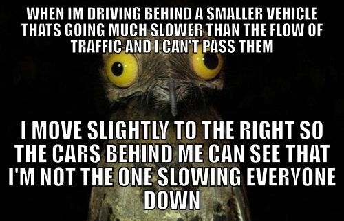 I just dont want the cars behind me to think Im an asshole