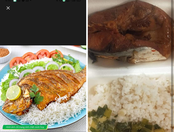 I just got catfish catfished Catfish takeout expectation vs reality 