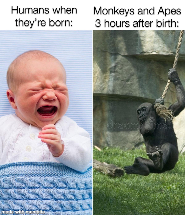 I just never get it