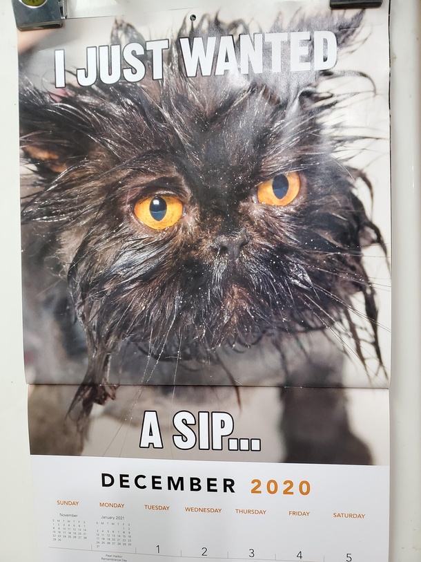 I just realized my calendar perfectly sums up 