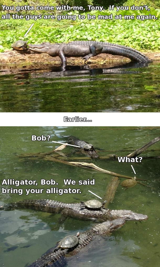 I just saw a continuation of the story