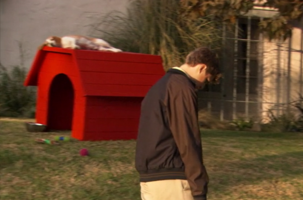 I just saw Snoopy the dog in Arrested Development