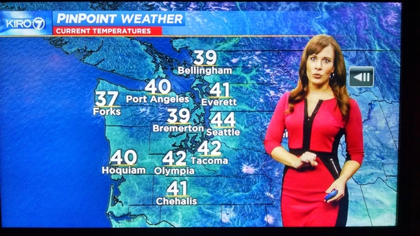 I just spotted the dress on my local news