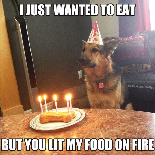 I just wanted a birthday cake