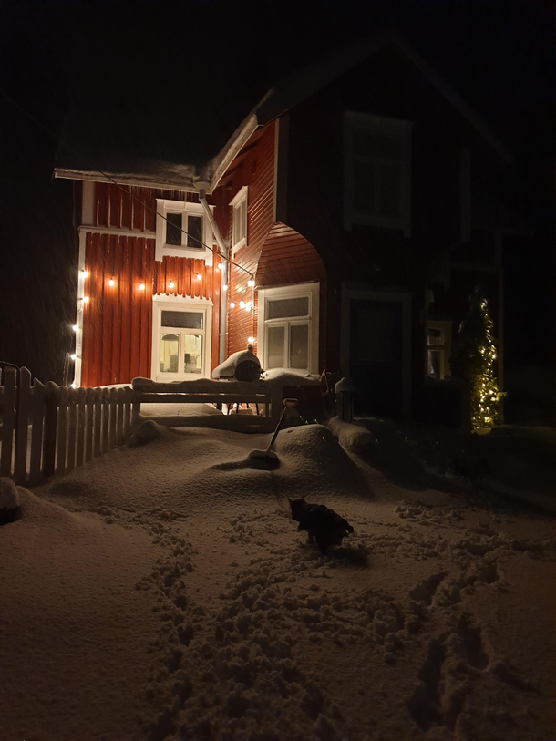 I just wanted a pretty picture of the snow