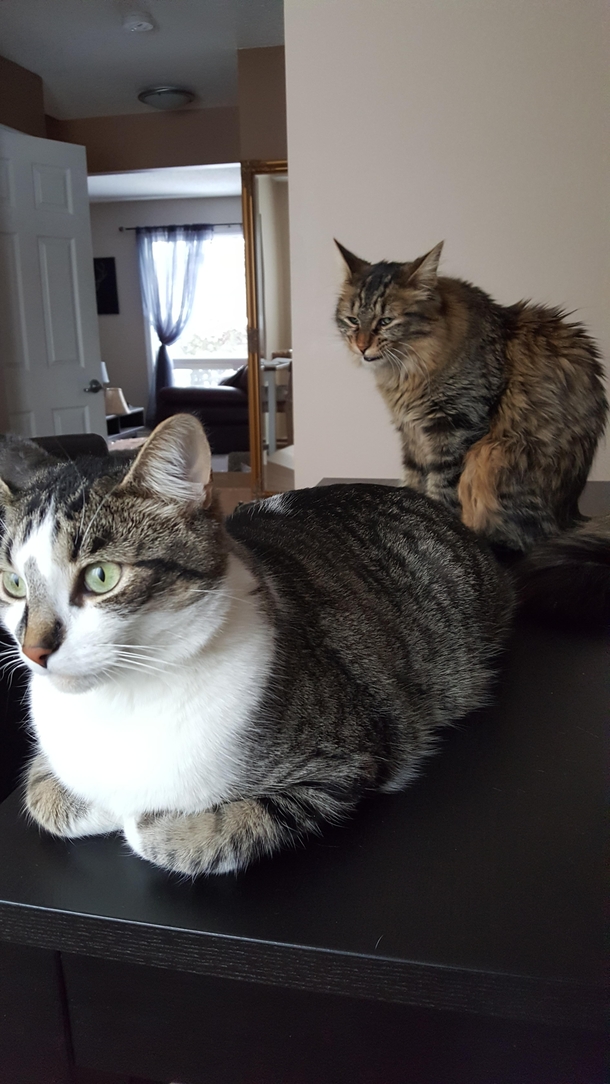 I just wanted one nice picture of my boys Just one