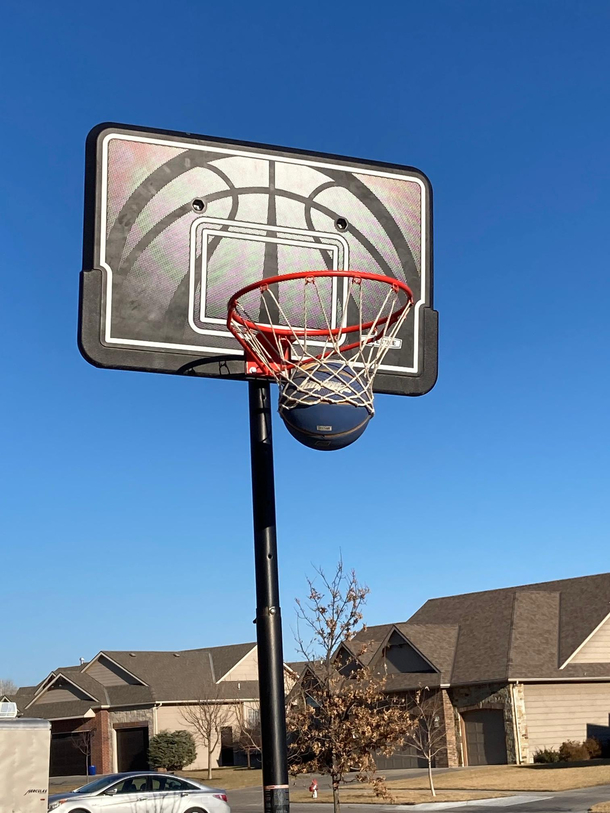 I Just Wanted to Play a Normal Game of Basketball
