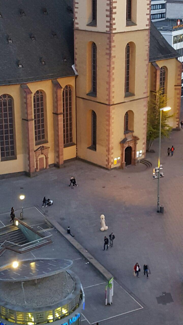 I just wanted to take a picture but then that