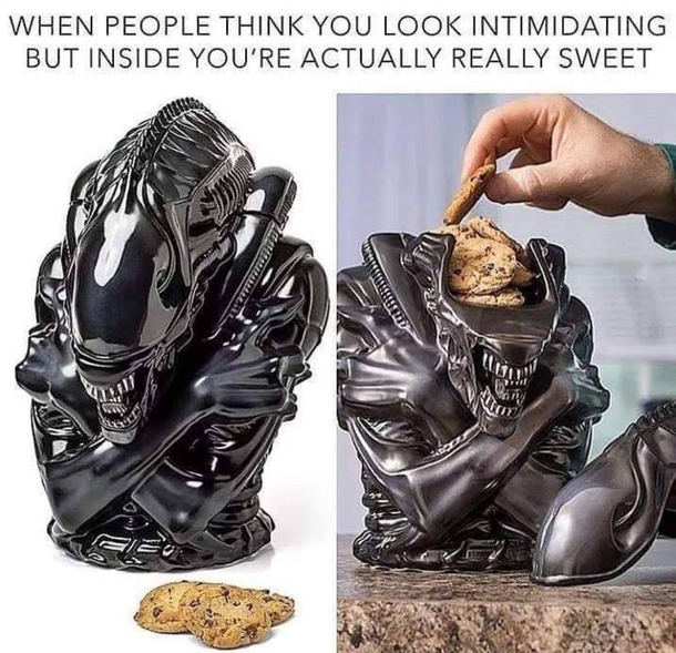 I kinda really need this