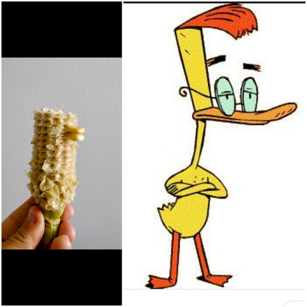 I knew I had seen that corn in the s