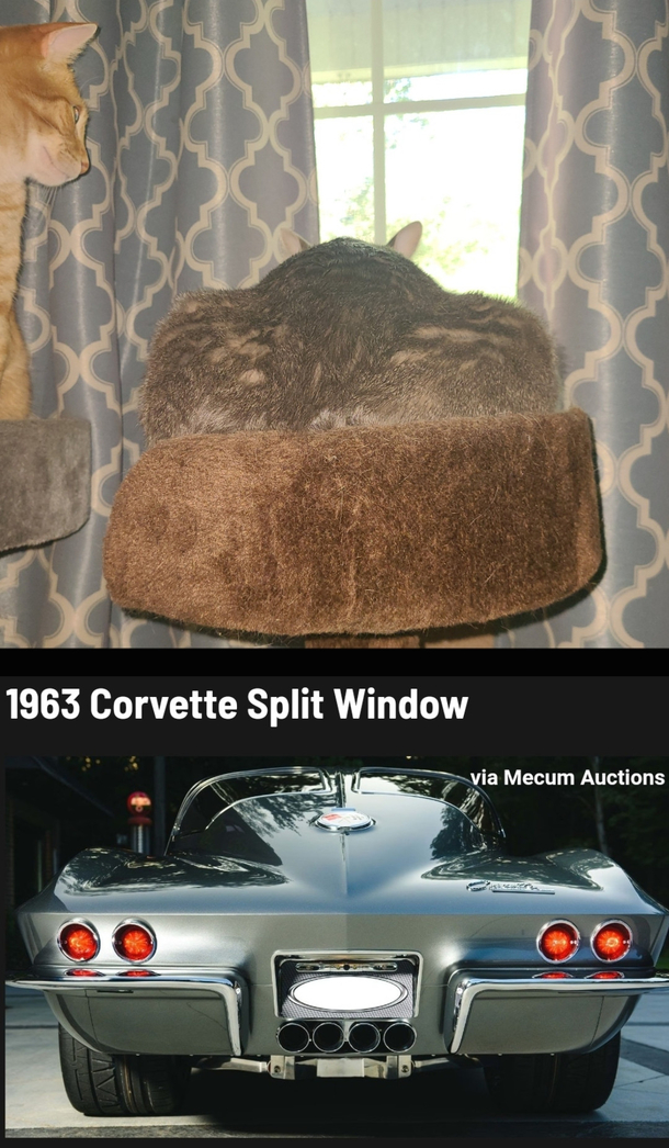 I knew I recognized that rear end from somewhere