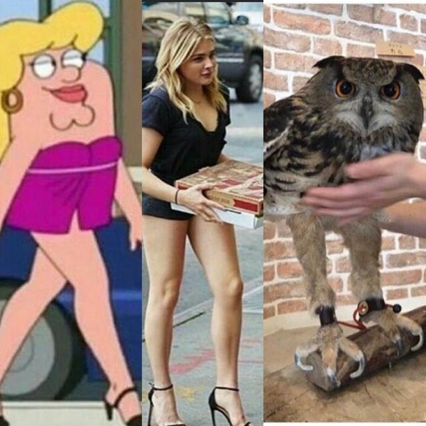I knew id seen that owl before
