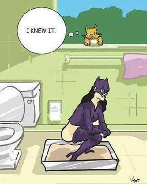 I knew it