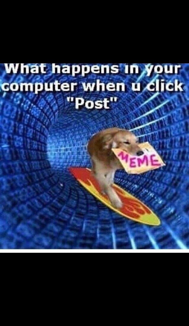 I knew it