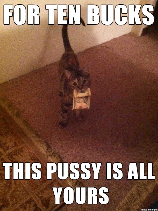 I knew that cat didnt find ten dollars