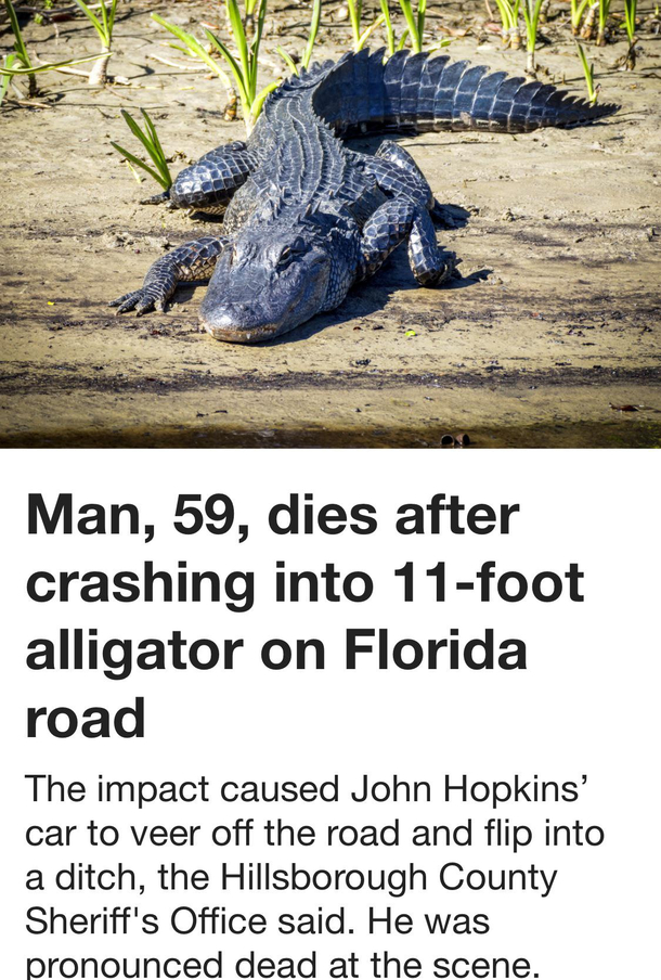 I knew the state before even reading it