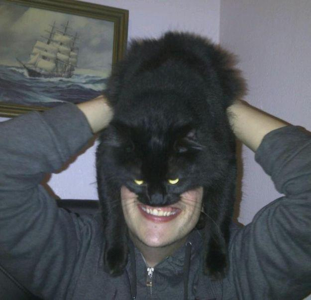 I know no words to describe this photo