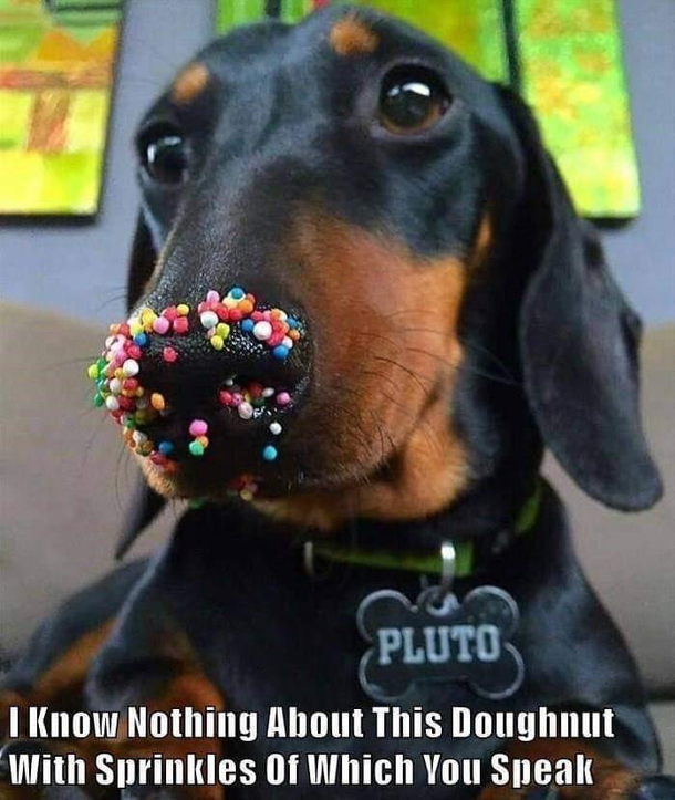 I know nothing 