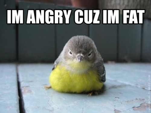 I know that feel